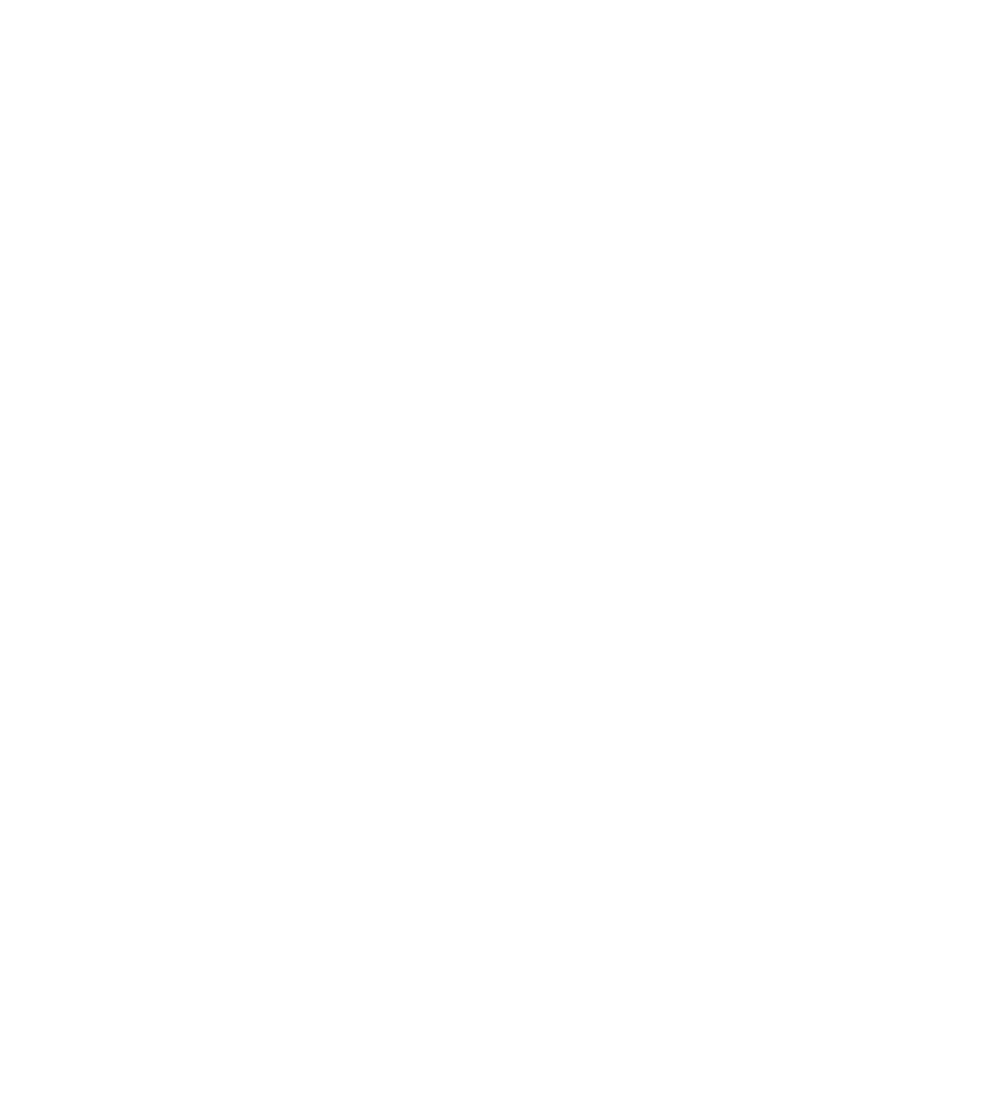 SoyRev Visuel 1